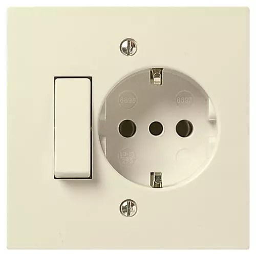 1P 10AX 1-way switch+P30 outlet ivory - 06696
