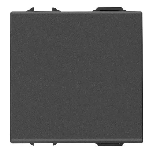 1P NO 10A 2M push button carbon matt - 09008.2.CM